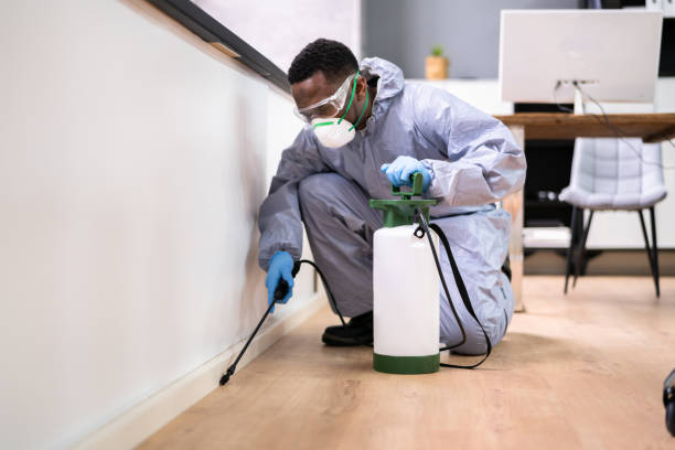 Best Pest Exclusion Services  in Manhattan, KS